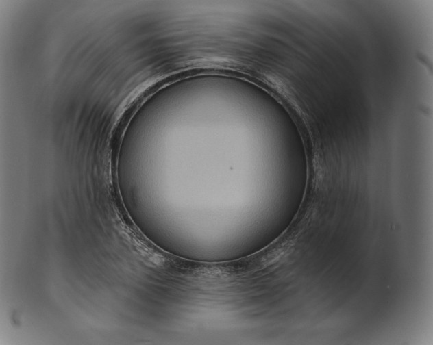 X0000101210931200807111030