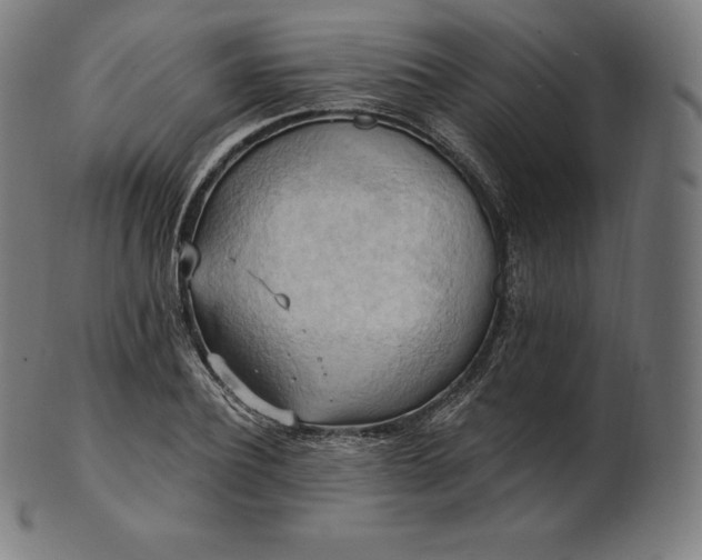 X0000101210932200807111030