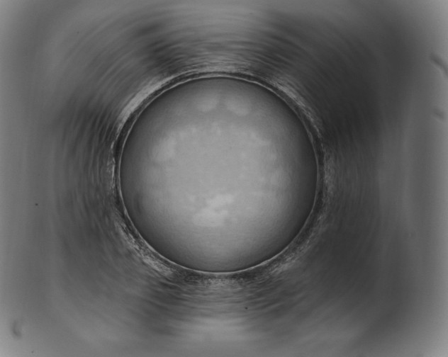 X0000101210933200807111030