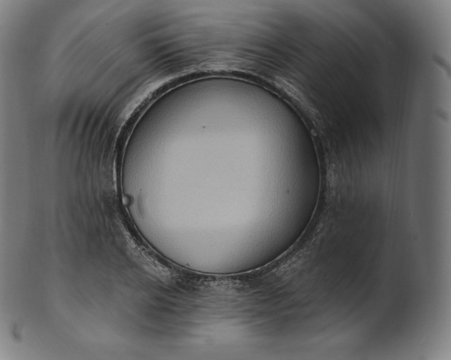 X0000101210934200807111030