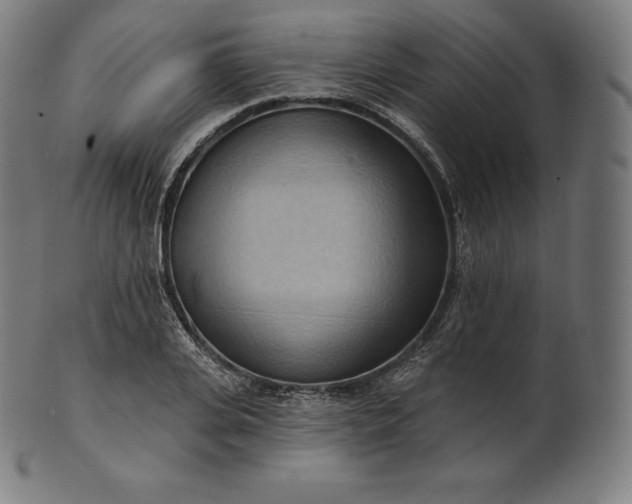 X0000101210935200807111030