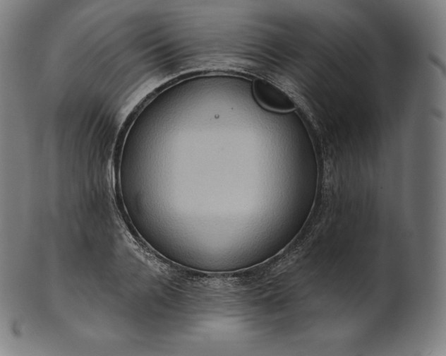 X0000101210936200807111030