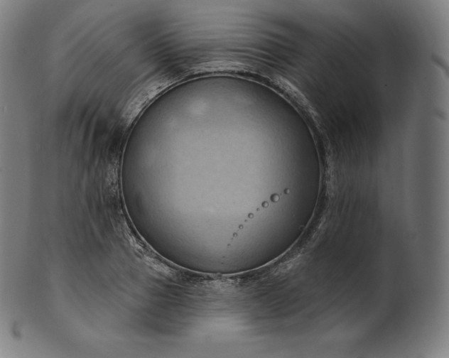 X0000101210937200807111030