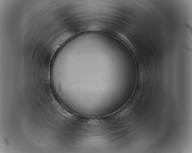 X0000101210938200807111030