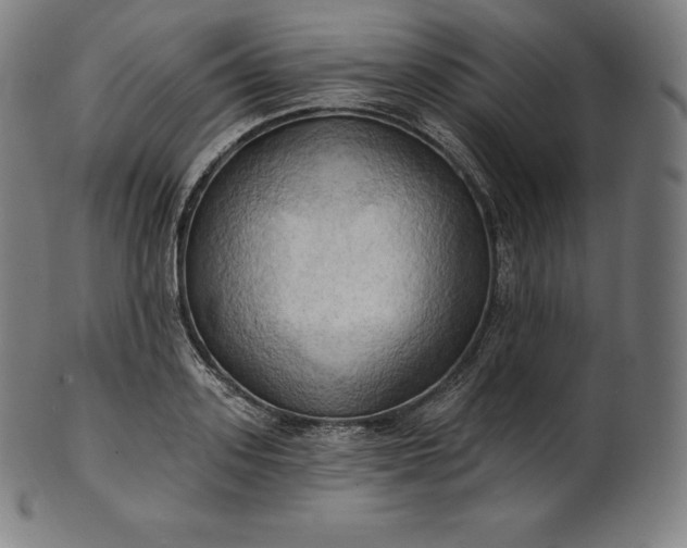 X0000101210939200807111030