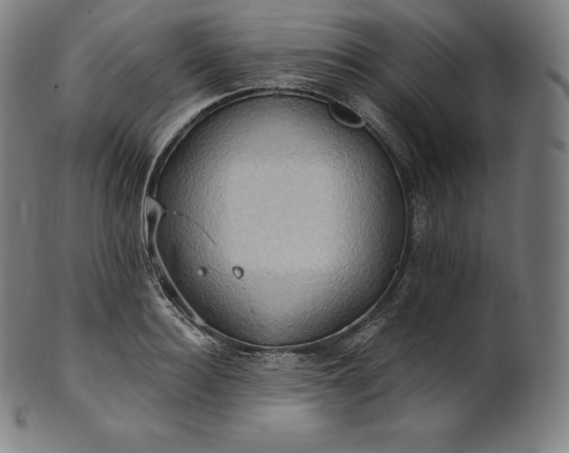 X0000101210940200807111030