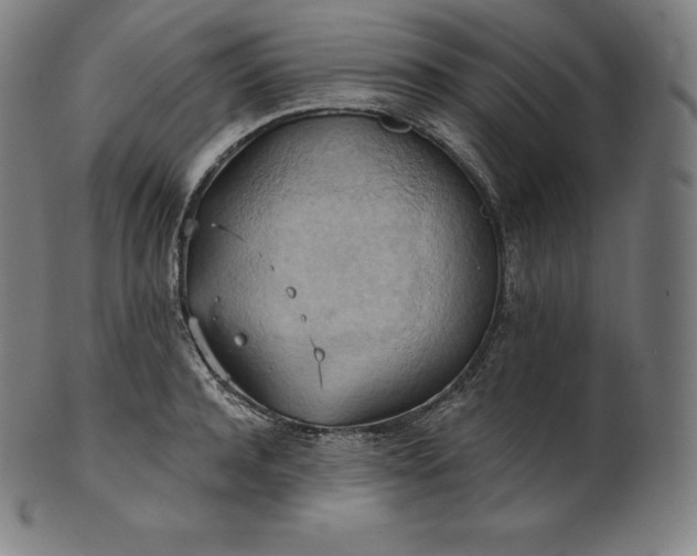 X0000101210944200807111030