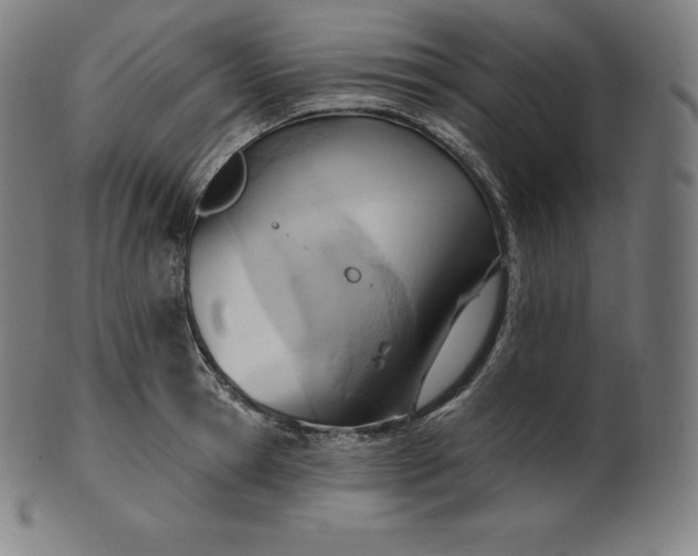 X0000101210945200807111030