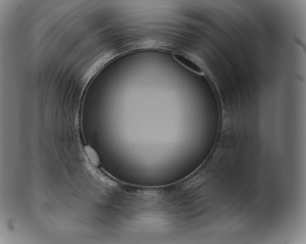 X0000101210946200807111030