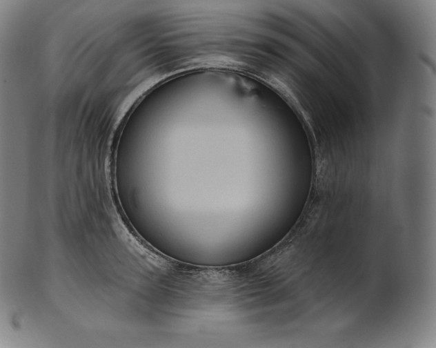 X0000101210947200807111030