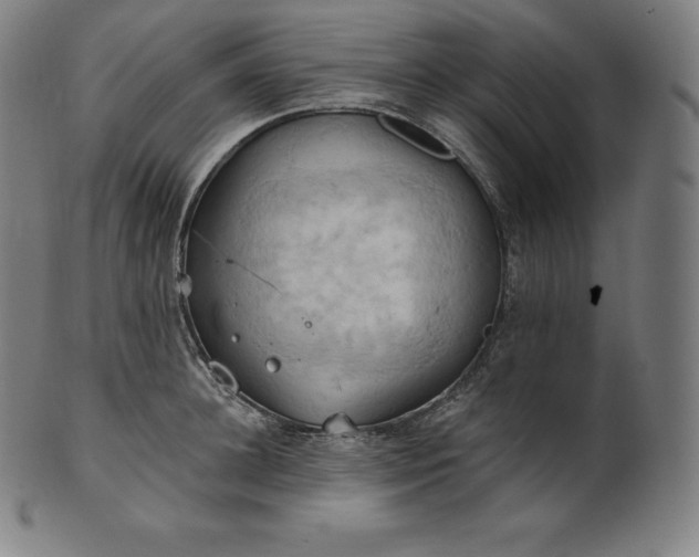 X0000101210948200807111030