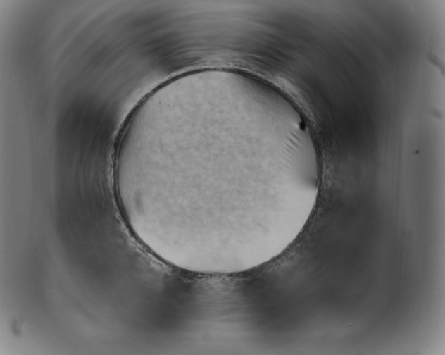 X0000101210950200807111030