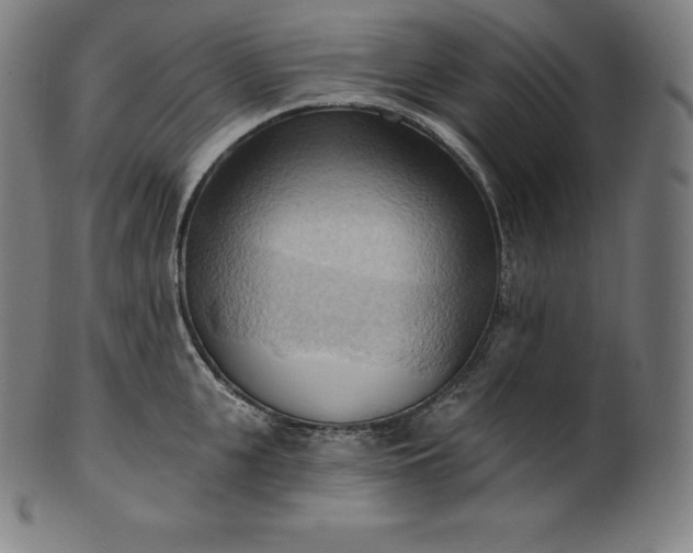 X0000101210951200807111030