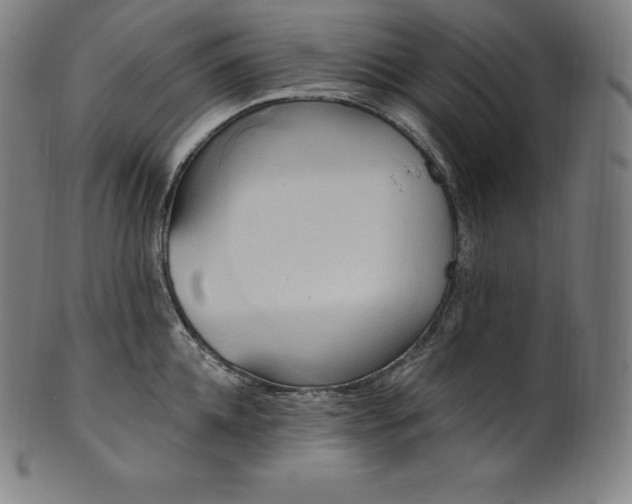 X0000101210952200807111030