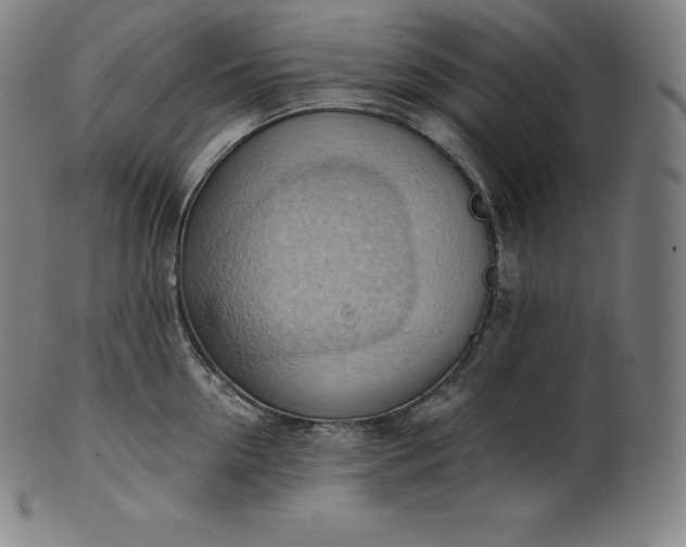 X0000101210954200807111030