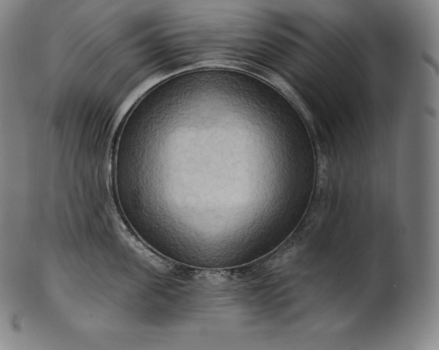 X0000101210955200807111030