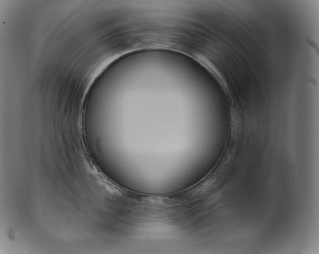 X0000101210956200807111030