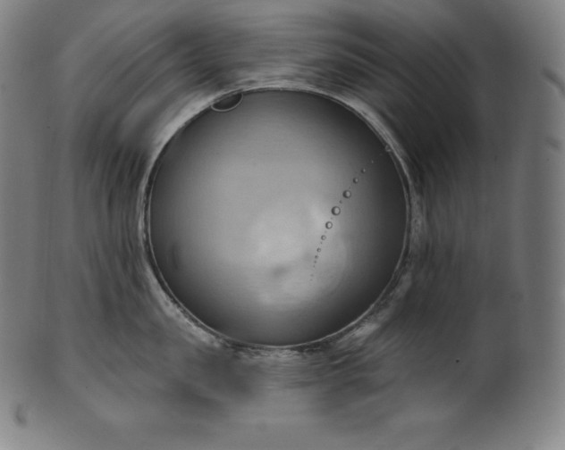 X0000101210957200807111030