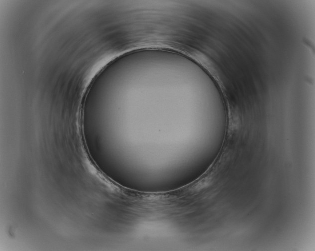 X0000101210958200807111030