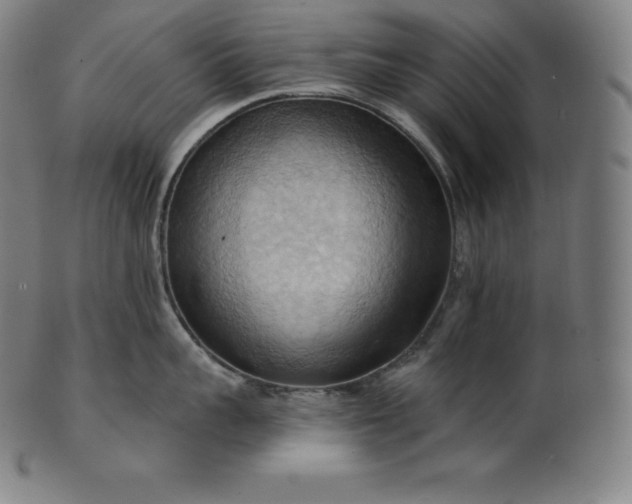 X0000101210959200807111030