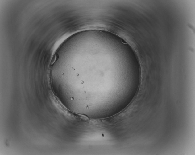 X0000101210960200807111030