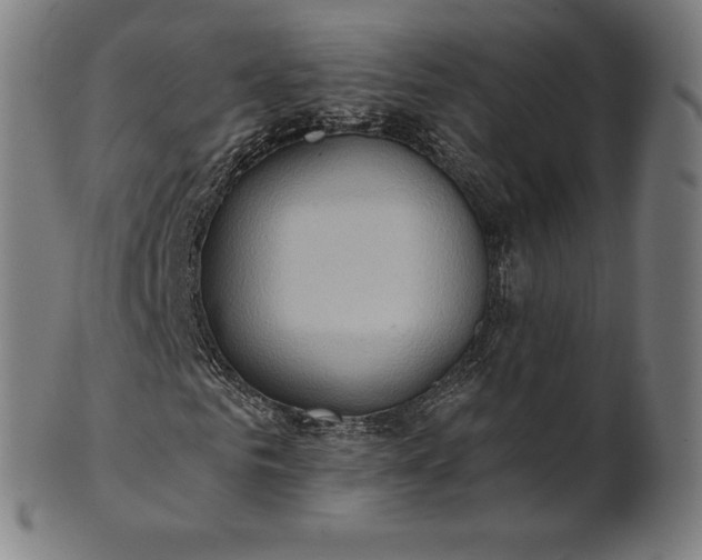 X0000101210961200807111029