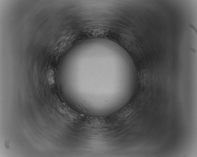 X0000101210962200807111029