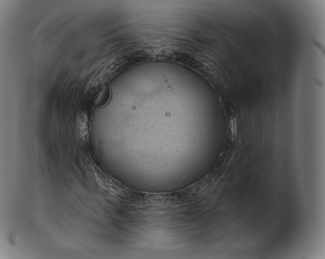 X0000101210963200807111029