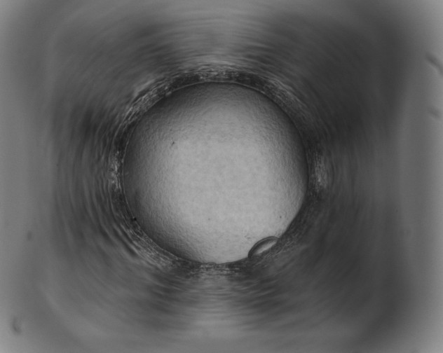 X0000101210964200807111029