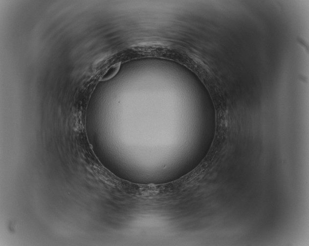 X0000101210965200807111029