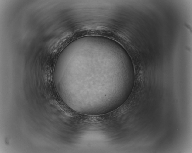 X0000101210966200807111029