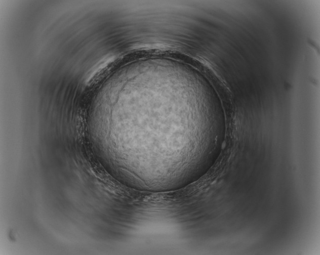 X0000101210967200807111029