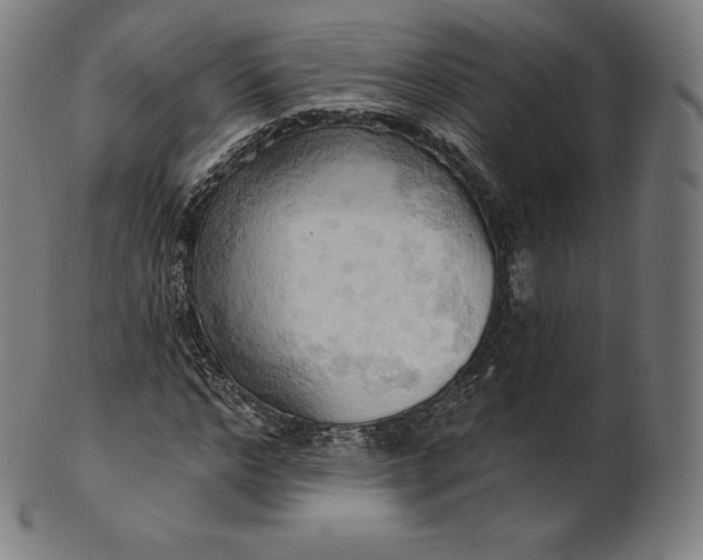 X0000101210968200807111029