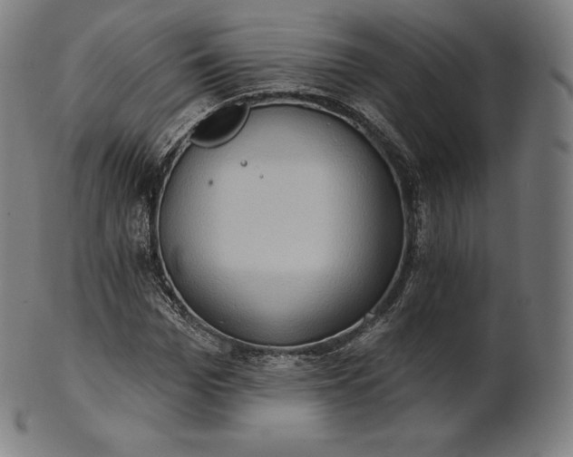 X0000101210969200807111029