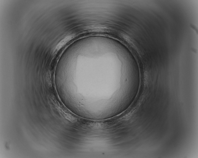 X0000101210970200807111029