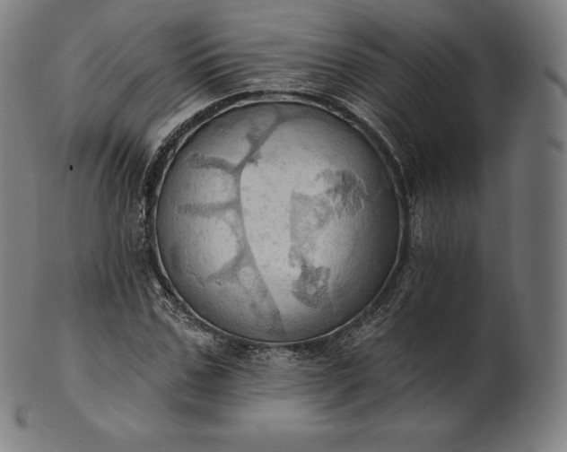 X0000101210971200807111029