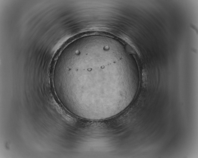 X0000101210972200807111029