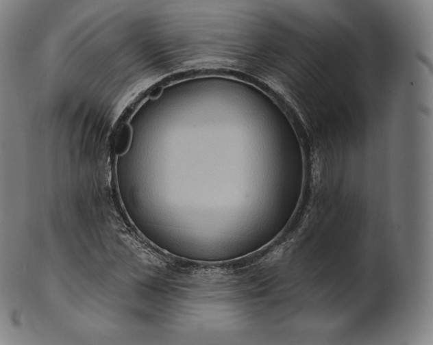 X0000101210973200807111029