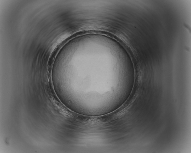 X0000101210974200807111029