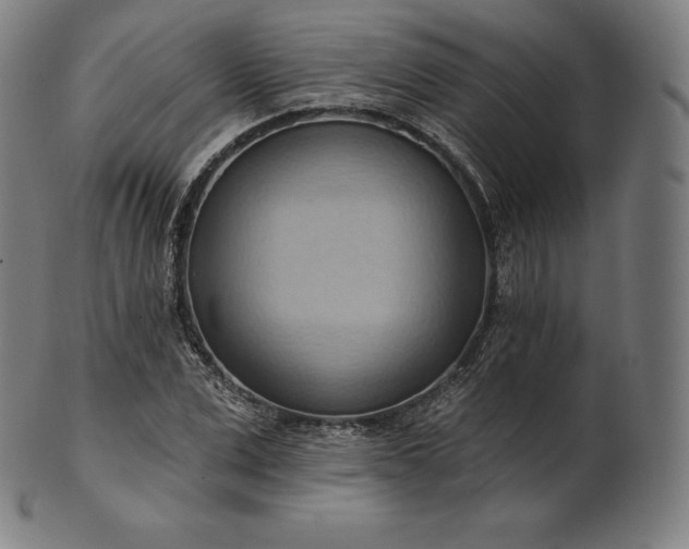 X0000101210975200807111029