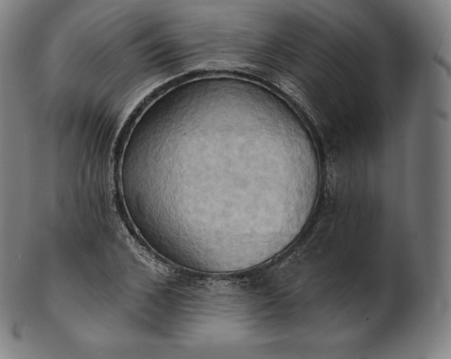 X0000101210976200807111029