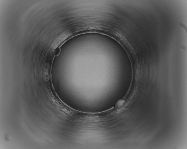 X0000101210977200807111029