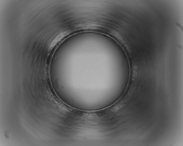 X0000101210978200807111029