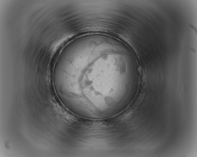 X0000101210979200807111029