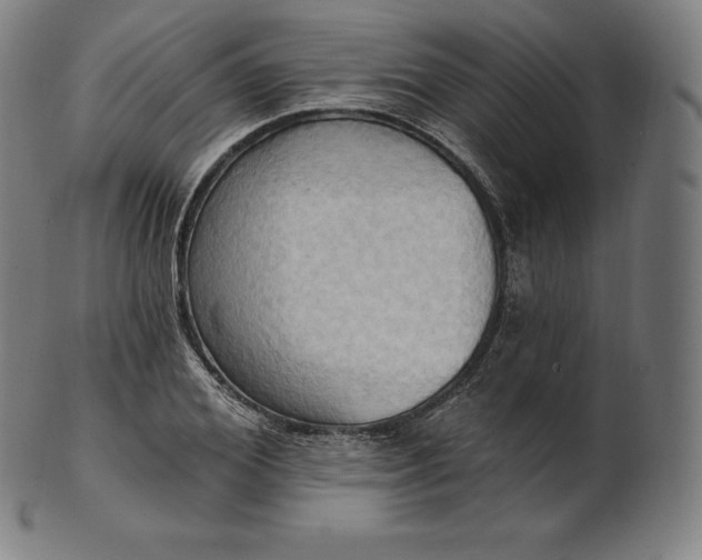 X0000101210980200807111029