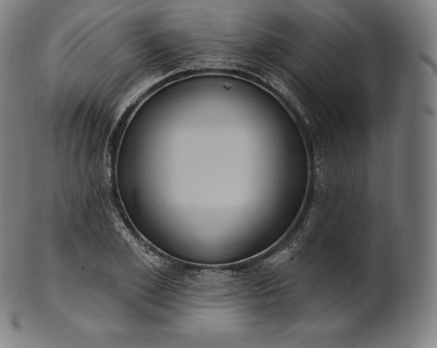 X0000101210981200807111029