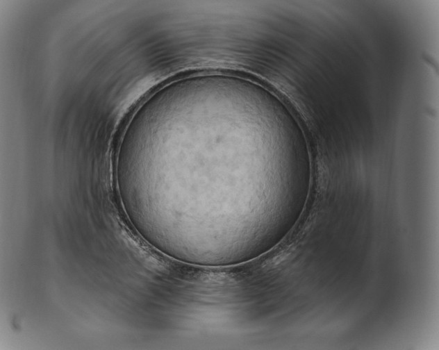 X0000101210982200807111029