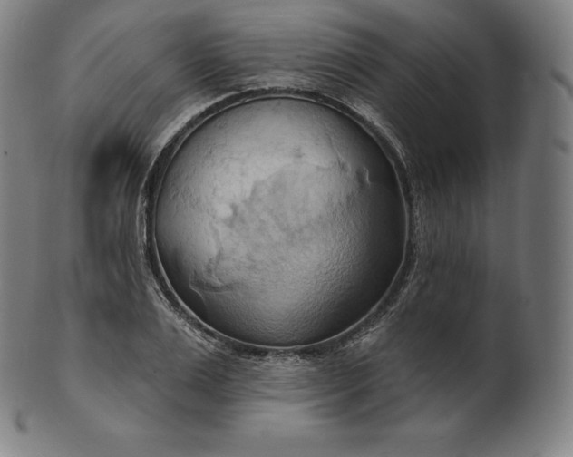 X0000101210983200807111029