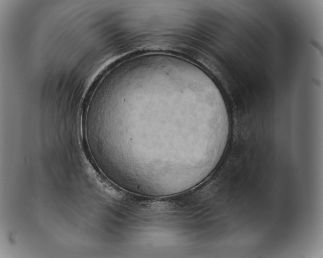 X0000101210984200807111029