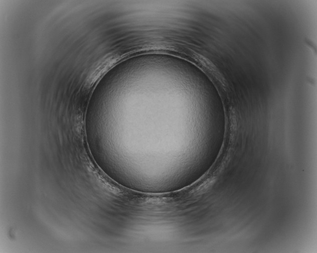 X0000101210985200807111029